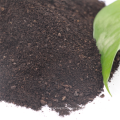 alibaba large supplier 10kgs China import fertilizer